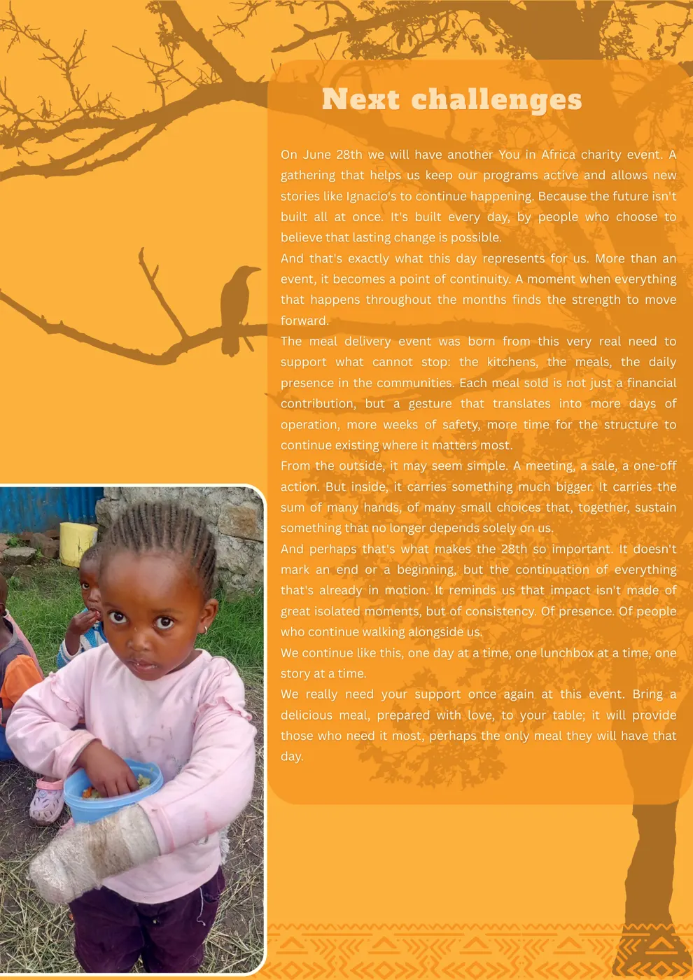 The journey to graduation — Newsletter June 2026
